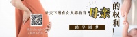 开启爬行动物养护之旅