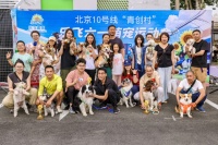 北京10号线“青创村”变身“萌宠欢乐谷” 以宠会友解锁青年社交新范式