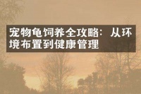 宠物龟饲养全攻略：从环境布置到健康管理