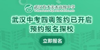 给乌龟做什么玩具好用