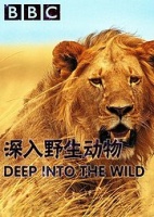 BBC深入野生动物高清版