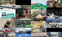 南昌宠物领养救助基地