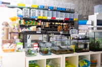 宠物店内部备有各种鸟笼、货架及宠物配件图片