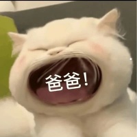 老猫15岁了只喝水不吃饭了