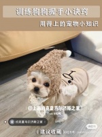 宠物小知识,揭秘宠物日常护理与行为习惯