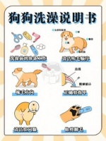 怎么帮狗狗洗澡洗得干净？5步教你打造宠物沐浴秘籍！