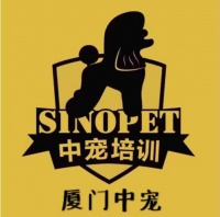 厦门宠物 机构