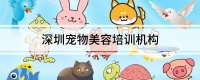 深圳宠物美容培训机构