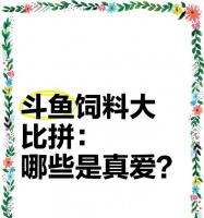 斗鱼苗的饲料选择有哪些?如何确保营养均衡?