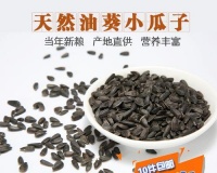牡丹鹦鹉的主食（以牡丹鹦鹉的健康为重，科学合理的饮食习惯）
