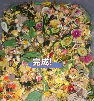 仓鼠粮的种类与选择（了解仓鼠粮的主要成分和如何为宠物仓鼠选择合适的食物）