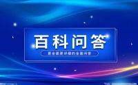宠物龙猫是猫吗？龙猫和猫可以一起养吗？