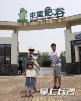 柏乐园龟谷来了新住户，鳄鱼龟等百种珍稀龟种等你赏