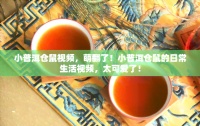 小普洱仓鼠视频，萌翻了！小普洱仓鼠的日常生活视频，太可爱了！
