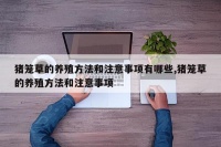 猪笼草的养殖方法和注意事项有哪些,猪笼草的养殖方法和注意事项