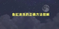 鱼缸清洗的正确方法，鱼缸清洗的正确方法