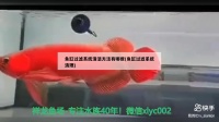 鱼缸过滤系统清洁方法有哪些(鱼缸过滤系统清理)（鱼缸过滤器怎么清洗）