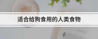适合给狗食用的人类食物