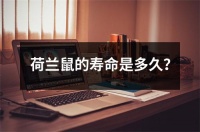 荷兰鼠的寿命是多久？