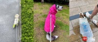 养毛孩子比养娃还精细，梅雨季宠物雨衣被江浙沪买成地域爆款