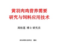 肉鸡的营养需要及研究