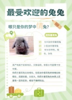 宠物兔名字大全萌可爱女生版,宠物兔名字大全萌可爱女生版图片