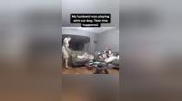 笑死人不偿命！超搞笑宠物猫咪视频集锦