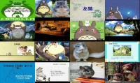 龙猫资料介绍简单