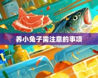 新手养小兔子的冷知识