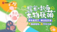 爱宠星势力 萌动友好城！封面宠物联“萌”2025年代言萌宠评选活动 重磅来袭