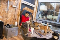 日本旅馆建猫咪救助站，一年拯救一百多只猫咪，帮它们逃离安乐死