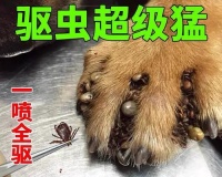 宠物小狗打虫时间表（如何保护宠物小狗的健康）