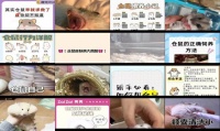 怎样清理仓鼠的腮帮子