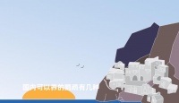 国内可以养的鹦鹉有几种
