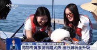 @爱宠人士 出行游玩全升级 快来开启“携宠出行”新体验