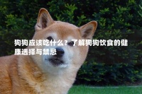 狗狗应该吃什么?了解狗狗饮食的健康选择与禁忌