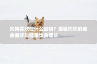 狗狗喜欢吃什么食物?揭秘狗狗的美食偏好与健康饮食建议