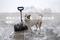 狗狗生日怎么过，如何让它的庆祝更特别？