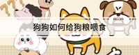 狗狗如何给狗粮喂食