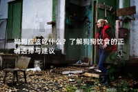 狗狗应该吃什么?了解狗狗饮食的正确选择与建议