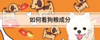如何看狗粮成分