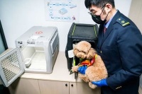 25座车站、38趟列车 高铁宠物托运服务6月20日起扩大试点范围