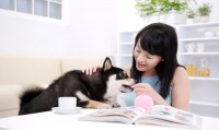 宠物店里的服务项目都是做什么的？为什么让宠
