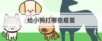 给小狗打哪些疫苗