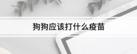 狗狗应该打什么疫苗