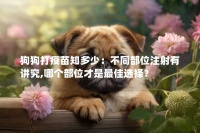 狗狗打疫苗知多少：不同部位注射有讲究,哪个部位才是最佳选择？