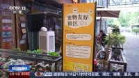 央视聚焦：南昌“宠物活动策划师”正让毛孩子成为社交新名片