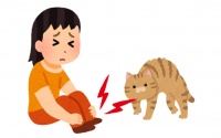 管好“毛孩子”,当好“铲屎官”