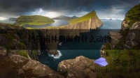 热带雨林里面有什么动物