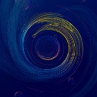 珍稀动物在哪里—热带雨林深处灵长类动物篇